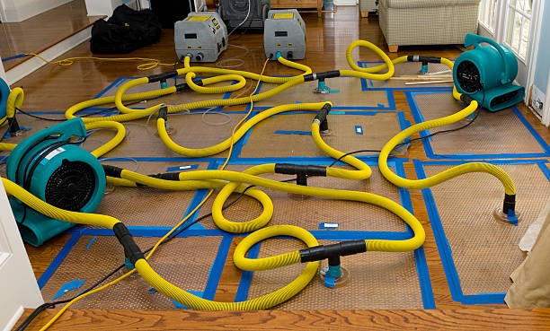 Professional Sewage Cleanup technician working in Cisco, TX